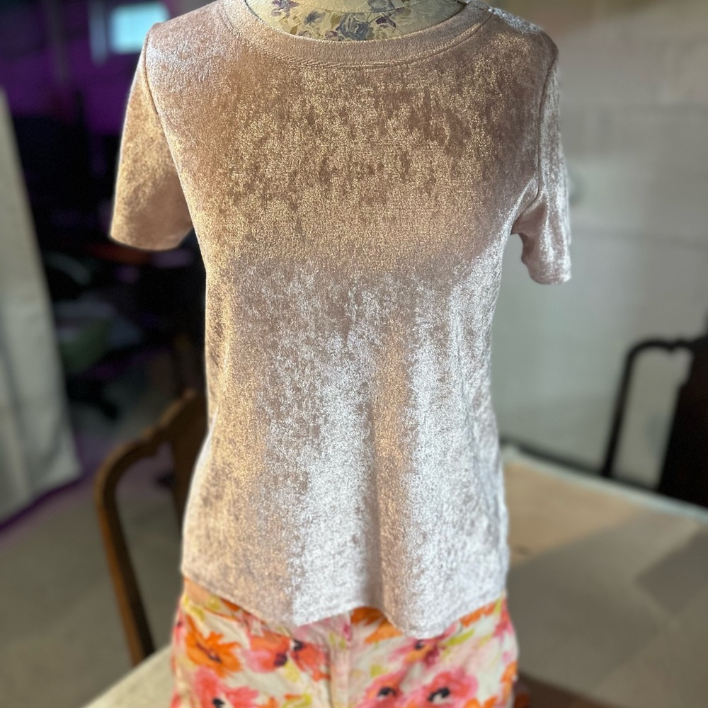 Vintage Pink Velvet Short Sleeve Top